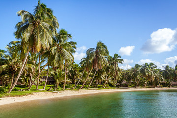 Tropical beach