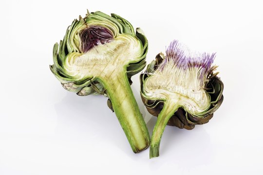 Flowering artichoke, cut-open (Cynara scolymus)