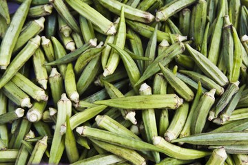 Okra (Abelmoschus esculentus)