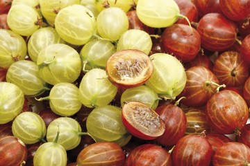 Red and green gooseberries