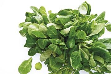 Unwashed organic lamb's lettuce with dirt