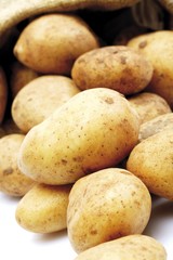 Potatoes, Filea breed