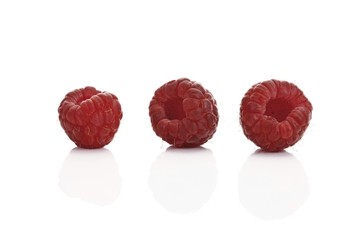 European Red Raspberries (Rubus idaeus)