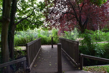 Wood Bridge In Nature