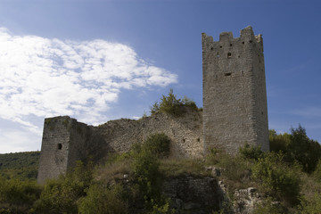 Fototapeta premium Castle ruin Dvigrad, Kanfanar, Istria, Croatia, Europe