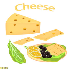 Cheese in realistic style isolated on white background. Cheese sandwich. Vector illustration for recipe, menu restaurant, kitchen interior design.
