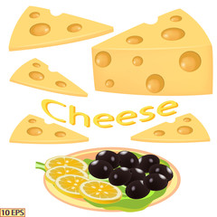 Cheese in realistic style isolated on white background. Cheese, sliced for sandwiches on the plate. Vector illustration for recipe, menu restaurant, kitchen interior design.