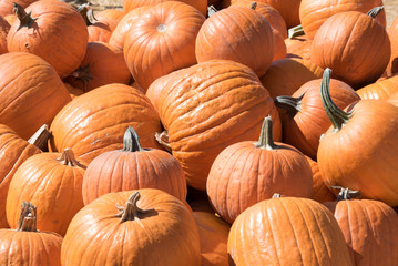 pumpkin, autumn, orange holloween