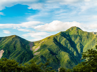 新緑の山並み