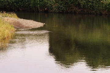 川の水面