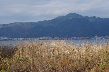 琵琶湖湖岸