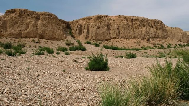 Natural mongolian arid grassland landscape with Achnatherum splendens and nettle grass on foreground, clay cliffs on background. South-west Mongolia