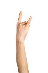 A back of female hand making horns gesture or Rocker sign on white background.