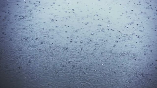 Closeup video of puddle and pouring rain in autumn. 