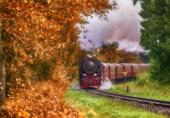 Schmalspurbahn