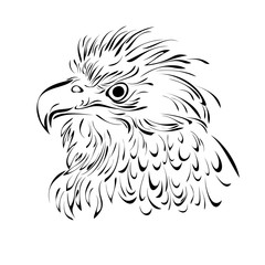 bird 2. head of a bird of prey in black lines on a white background