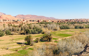 Fototapeta na wymiar View city of Tinghir city and oasis. Morocco