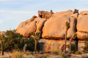 Joshua Tree Barker Dam Area near Sunset