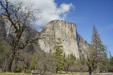 Waterfall and EI Captain view