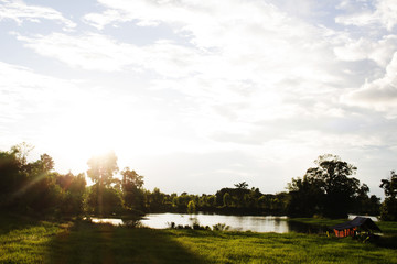 Grass green with the sunset sky landscape