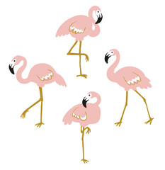 Fototapeta premium Vector set with four pink flamingos isolated on the white background. Flat design.