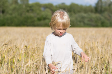 Blond Slavic happy kid boy at a ripe rye wheat field, autumn harvest, Russian forest, the Urals