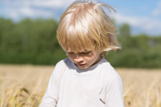 Blond Slavic happy kid boy at a ripe rye wheat field, autumn harvest, Russian forest, the Urals