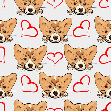 Lovely seamless pattern with puppy welsh corgi and heart. Vector cute background