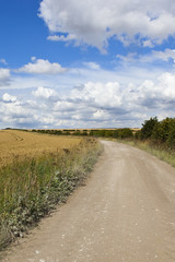 bridleway and wheat