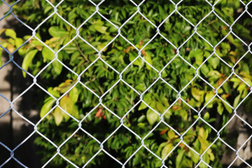 The cage and view of the nature.