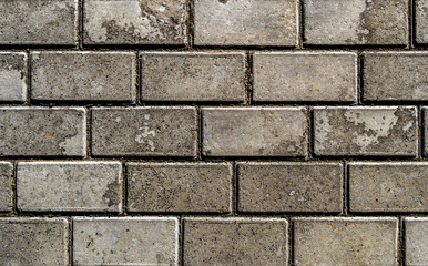 Pavement. Sidewalk tile background. Pavement tile. Top view. Closeup