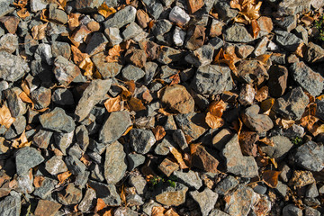 Stones and dry yellow leaves. Stone background. Stone texture and background