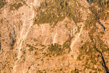 cliff face with trees