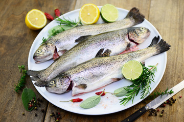 Fische