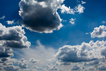 Blauer Himmel Vehnemoor 1