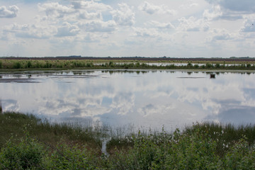 Vehnemoor Spiegelung