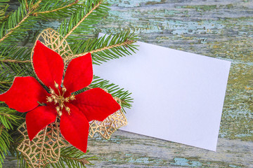 christmas greeting card with poinsettia flower on a fir branch on rustic background