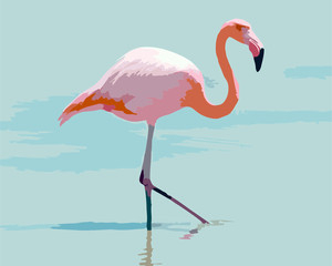 Fototapeta premium flamingo in water