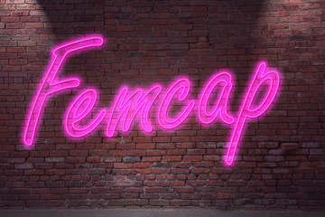 Obraz premium Leuchtreklame Femcap an Ziegelsteinmauer