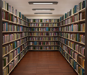 Bookshelf in book store. 3d illustration