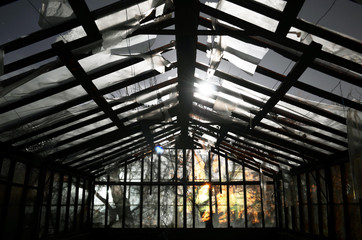A horror scene of damaged, old, scary and abandoned greenhouse in night of full moon. Darkness and...