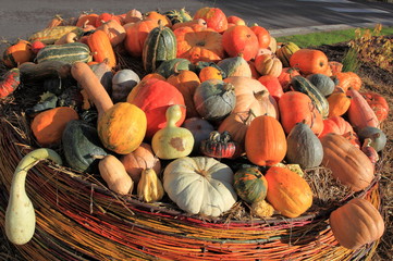 panier garni pour la fête d'halloween