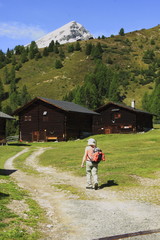 Wiesener Alp, Landschaft Davos