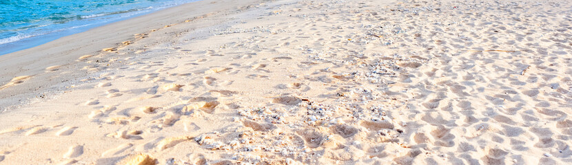 plage d'anse Ali, île Rodrigues, Maurice 