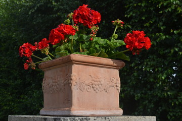 Jardinières