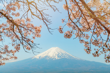 Mountain Fuji in spring ,Cherry blossom Sakura in Japan.