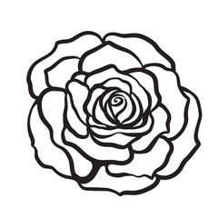 Rose flower isolated outline hand drawn. Stock line vector illus
