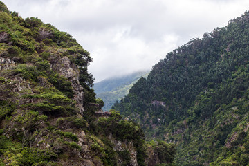 Coastal mountain landscape