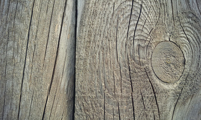 Old weathered wooden texture with rings and cracks