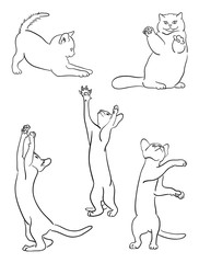 Cat line on a white background vector 02. Good use for symbol, logo, web icon, mascot, sign, or any design you want.